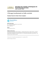 Vignette du fichier