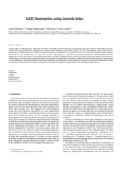 Vignette du fichier