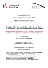 Vignette du fichier