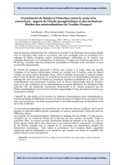 Vignette du fichier