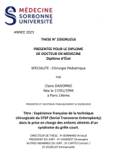 Vignette du fichier