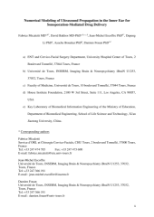 Vignette du fichier