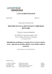 Vignette du fichier