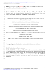 Vignette du fichier