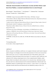 Vignette du fichier