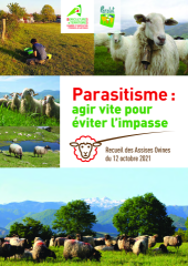Vignette du fichier