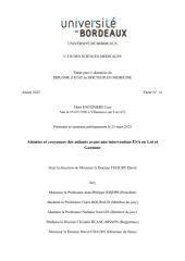 Vignette du fichier