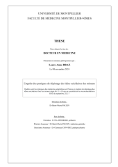 Vignette du fichier