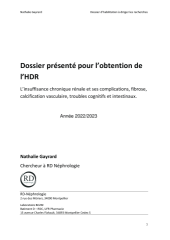 Vignette du fichier