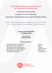 Vignette du fichier