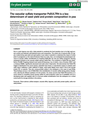 Vignette du fichier
