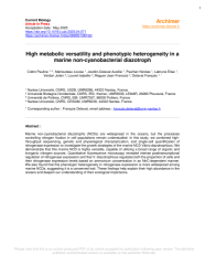 Vignette du fichier