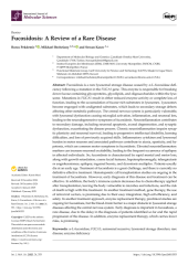 Vignette du fichier