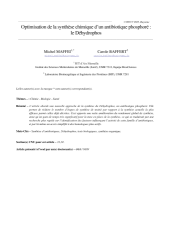 Vignette du fichier