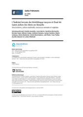 Vignette du fichier