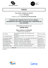 Vignette du fichier