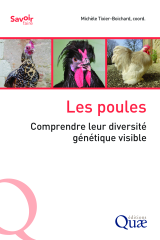 Vignette du fichier