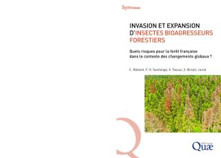 Vignette du fichier