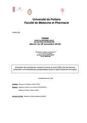 Vignette du fichier