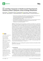 Vignette du fichier