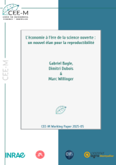 Vignette du fichier