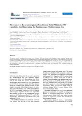 Vignette du fichier