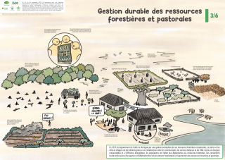 Vignette du fichier