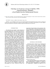 Vignette du fichier