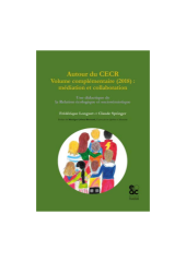 Vignette du fichier