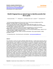 Vignette du fichier