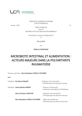 Vignette du fichier