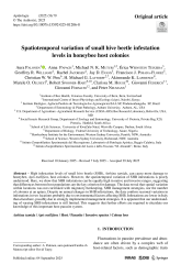 Vignette du fichier