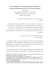 Vignette du fichier