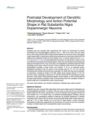 Vignette du fichier