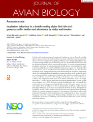 Vignette du fichier
