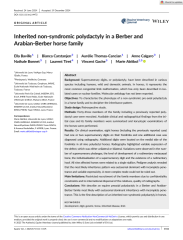 Vignette du fichier