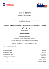 Vignette du fichier