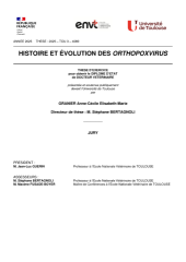 Vignette du fichier