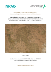 Vignette du fichier