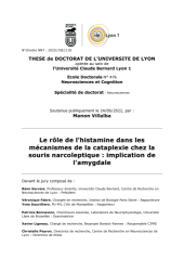 Vignette du fichier