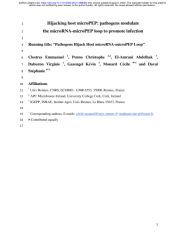 Vignette du fichier