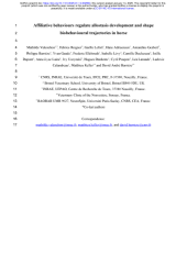 Vignette du fichier
