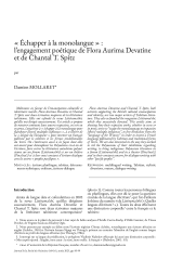 Vignette du fichier