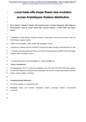 Vignette du fichier