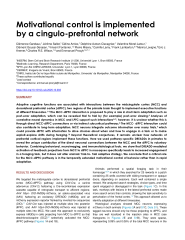 Vignette du fichier