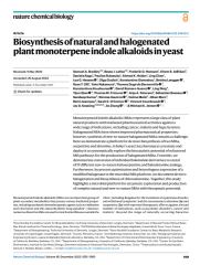 Vignette du fichier