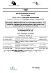 Vignette du fichier