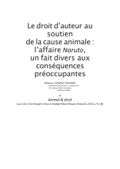Vignette du fichier