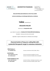 Vignette du fichier