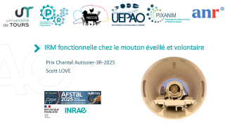 Vignette du fichier